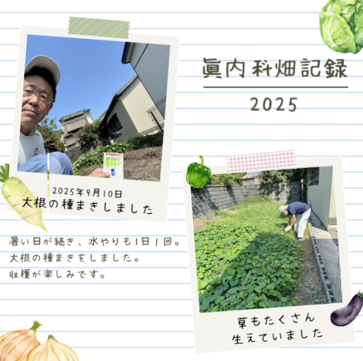 令和7年 秋 眞内科畑日記