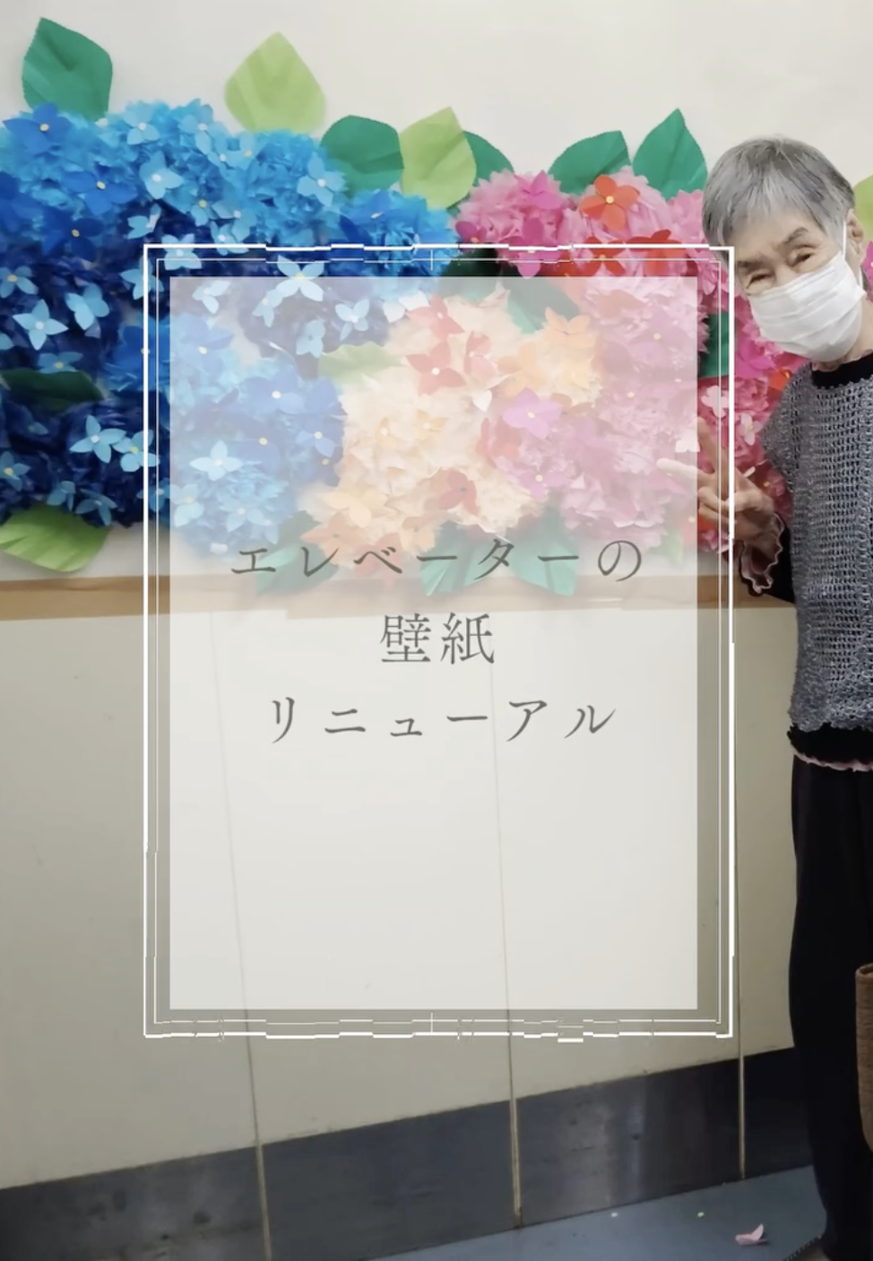 令和7年 紫陽花のエレベーター