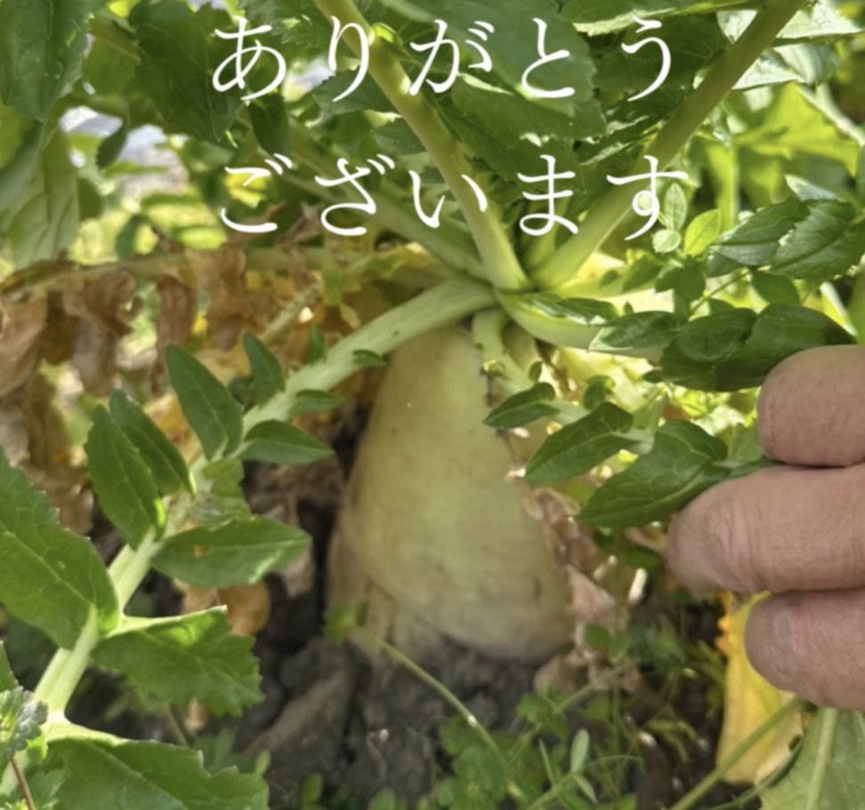 令和8年2月の眞内科デイサービス農園