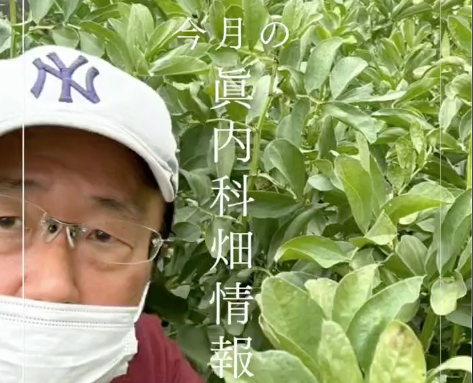 令和8年5月 眞内科畑情報